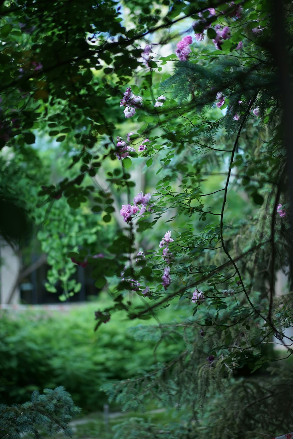 a bench sitting in the middle of a lush green park