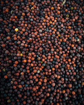 a close up of a bunch of different colored balls