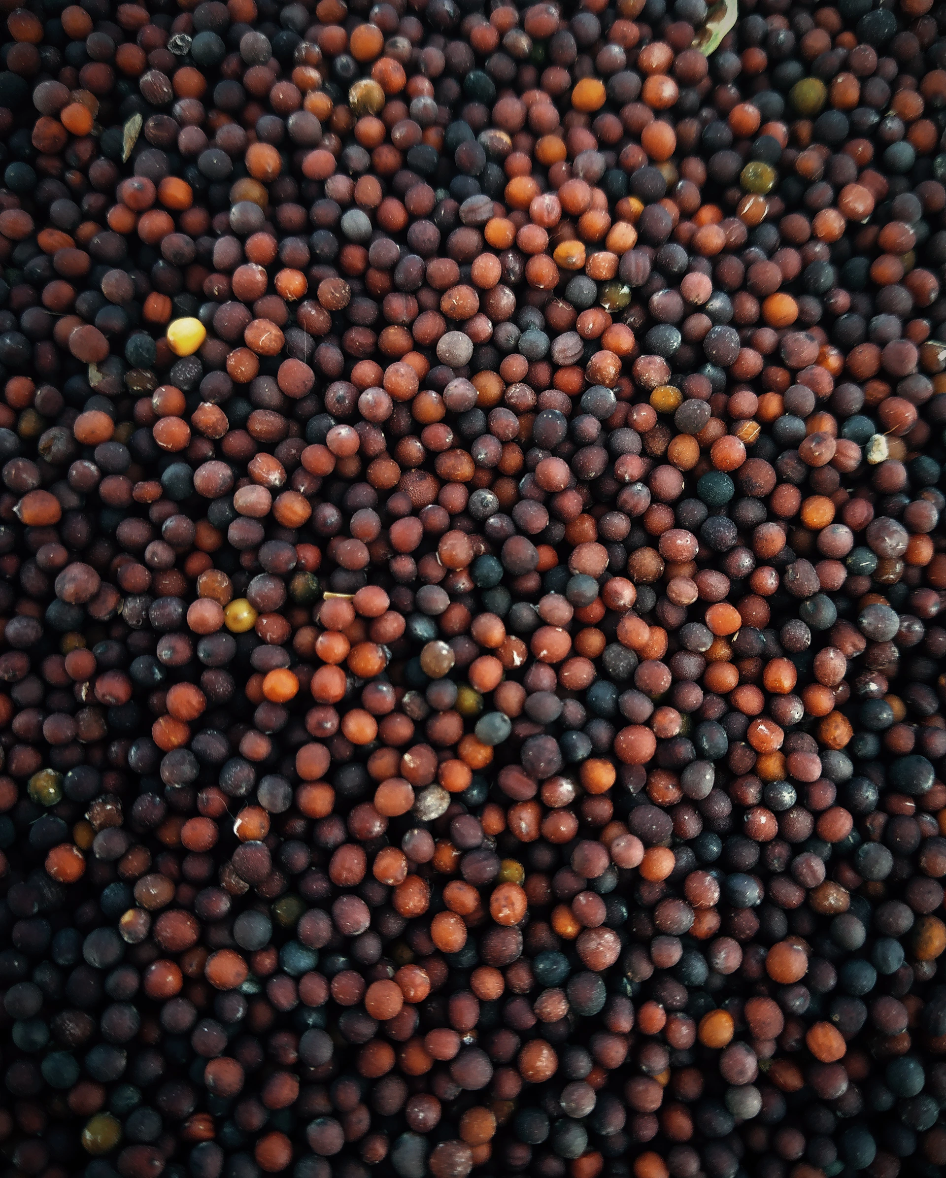 a close up of a bunch of different colored balls