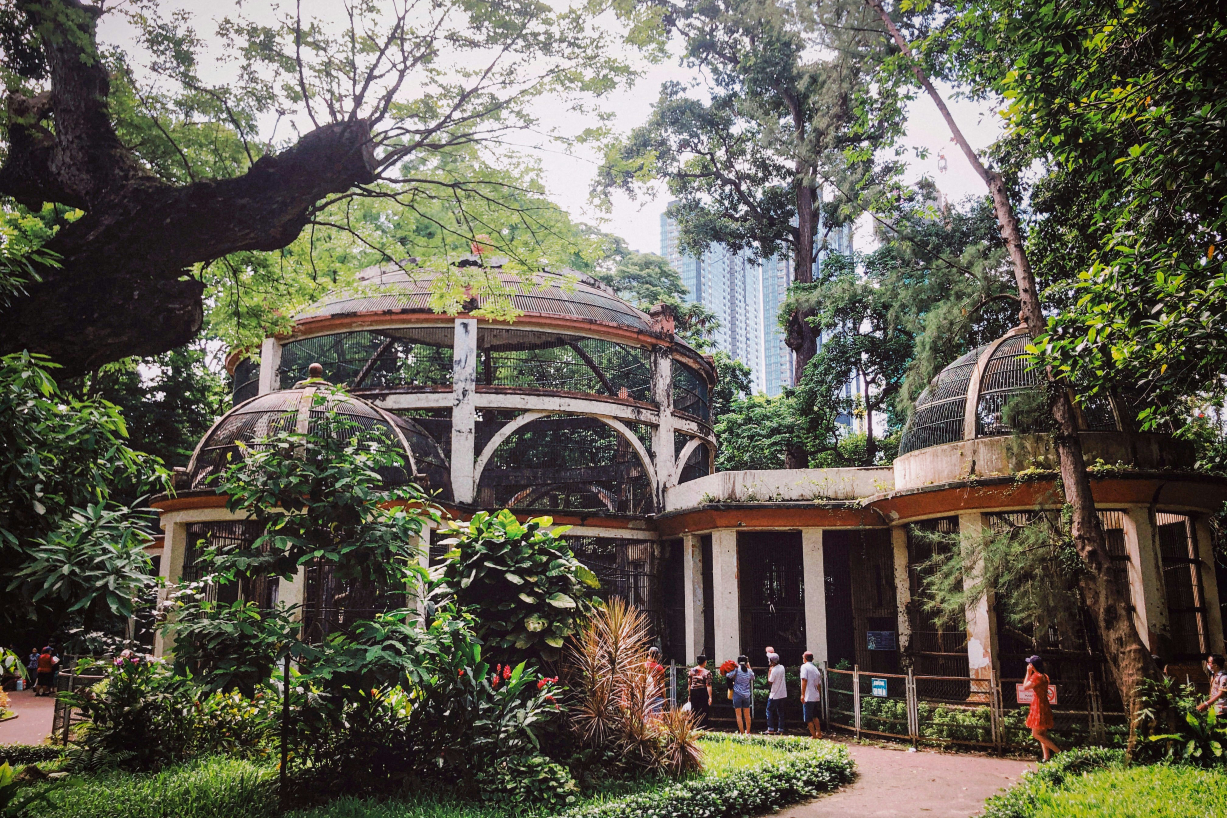 Giá vé, khung giờ, cách đăng kí tour đêm Thảo Cầm Viên TP.HCM 2025