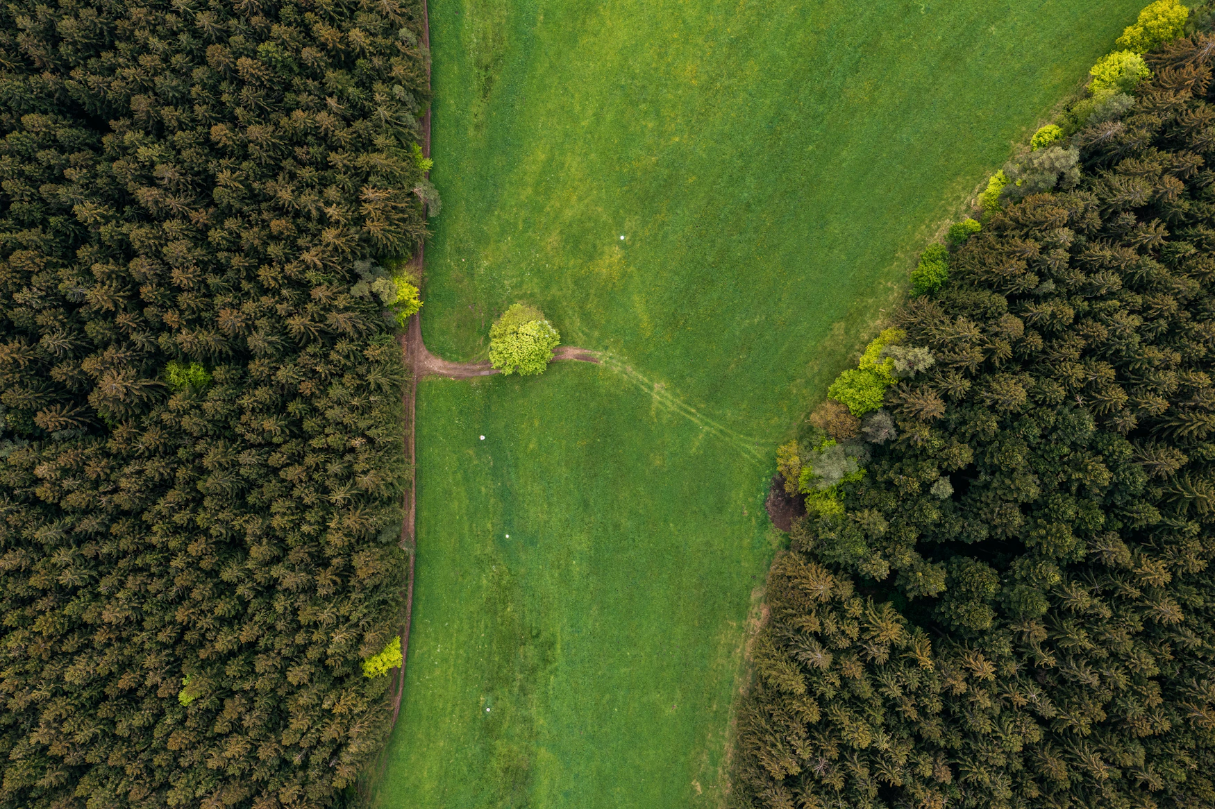 An aerial view of green land and mature woodland