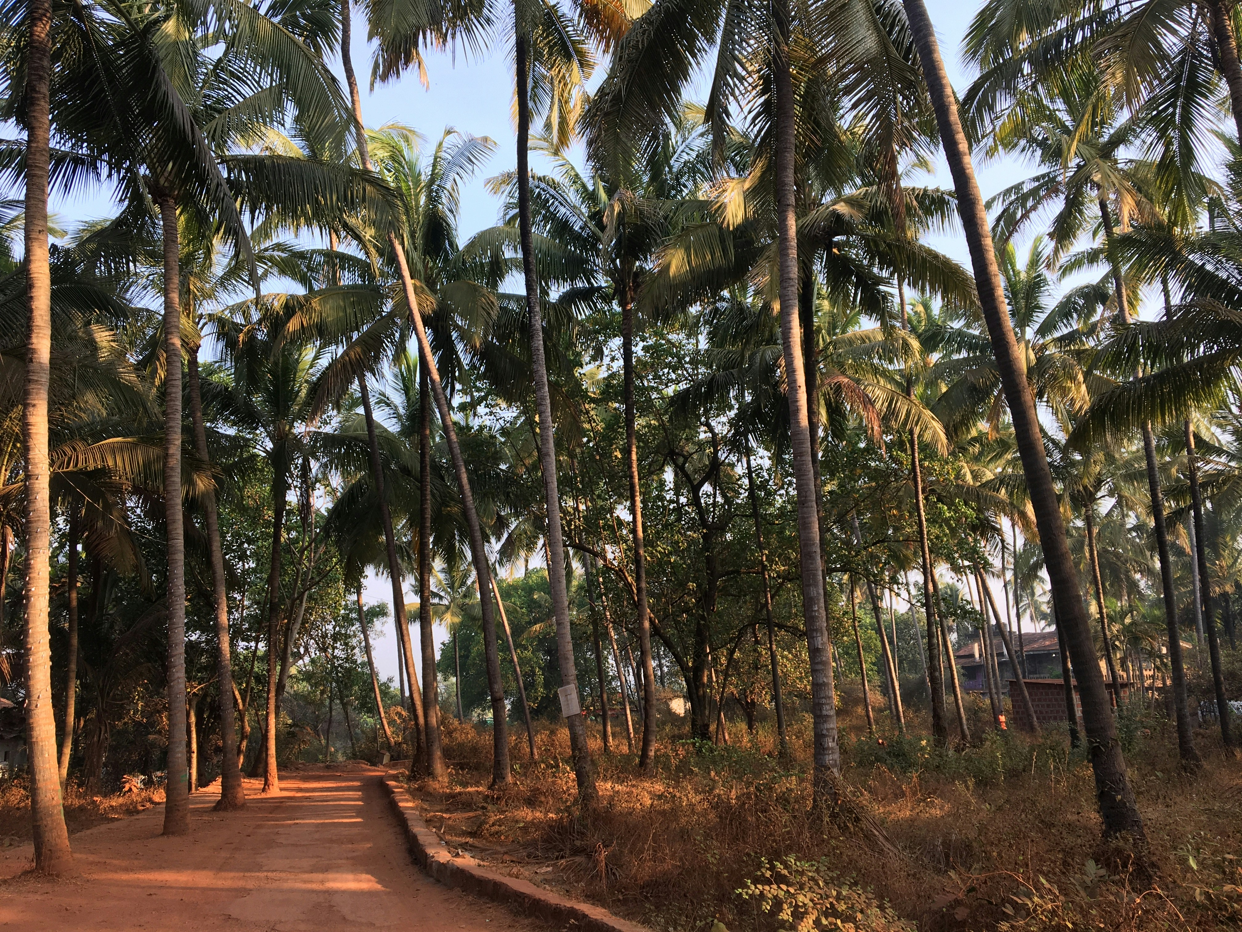 Photo by amiansarath