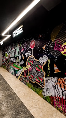 A vibrant mural featuring various elements such as a zebra, traffic cones, dice, a stop sign, and colorful text reading 'Rise,' 'Mirpur,' and 'Dhaka.' The artwork incorporates dynamic shapes, patterns, and graffiti-style lettering, creating an urban and energetic scene.