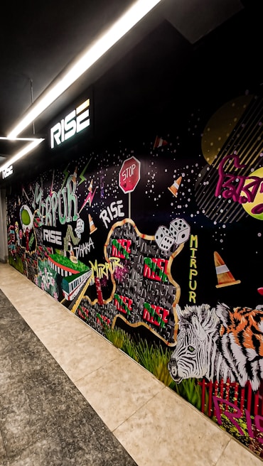 A vibrant mural featuring various elements such as a zebra, traffic cones, dice, a stop sign, and colorful text reading 'Rise,' 'Mirpur,' and 'Dhaka.' The artwork incorporates dynamic shapes, patterns, and graffiti-style lettering, creating an urban and energetic scene.