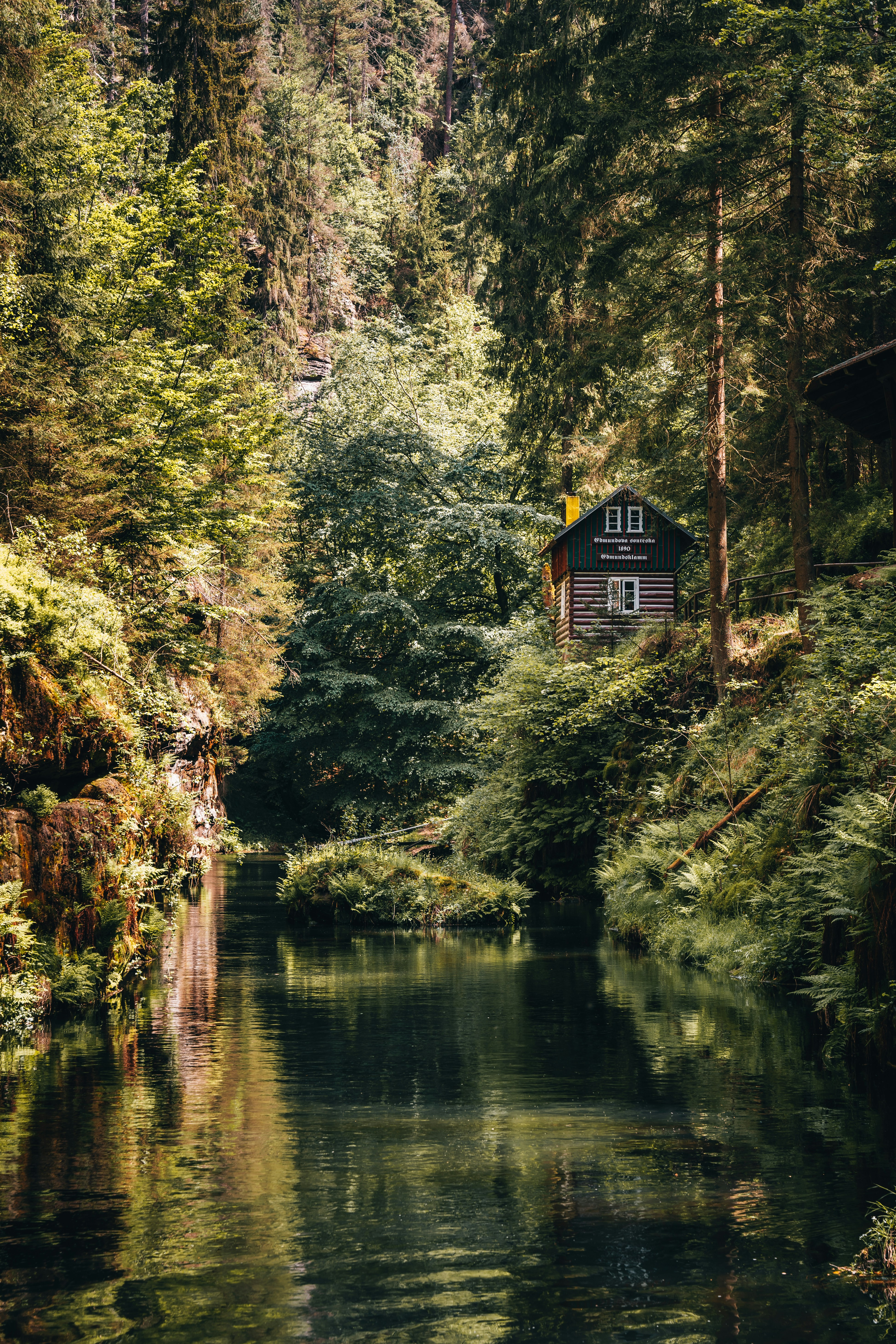 A small cabin in the middle of a forest photo – Free Housing Image on ...