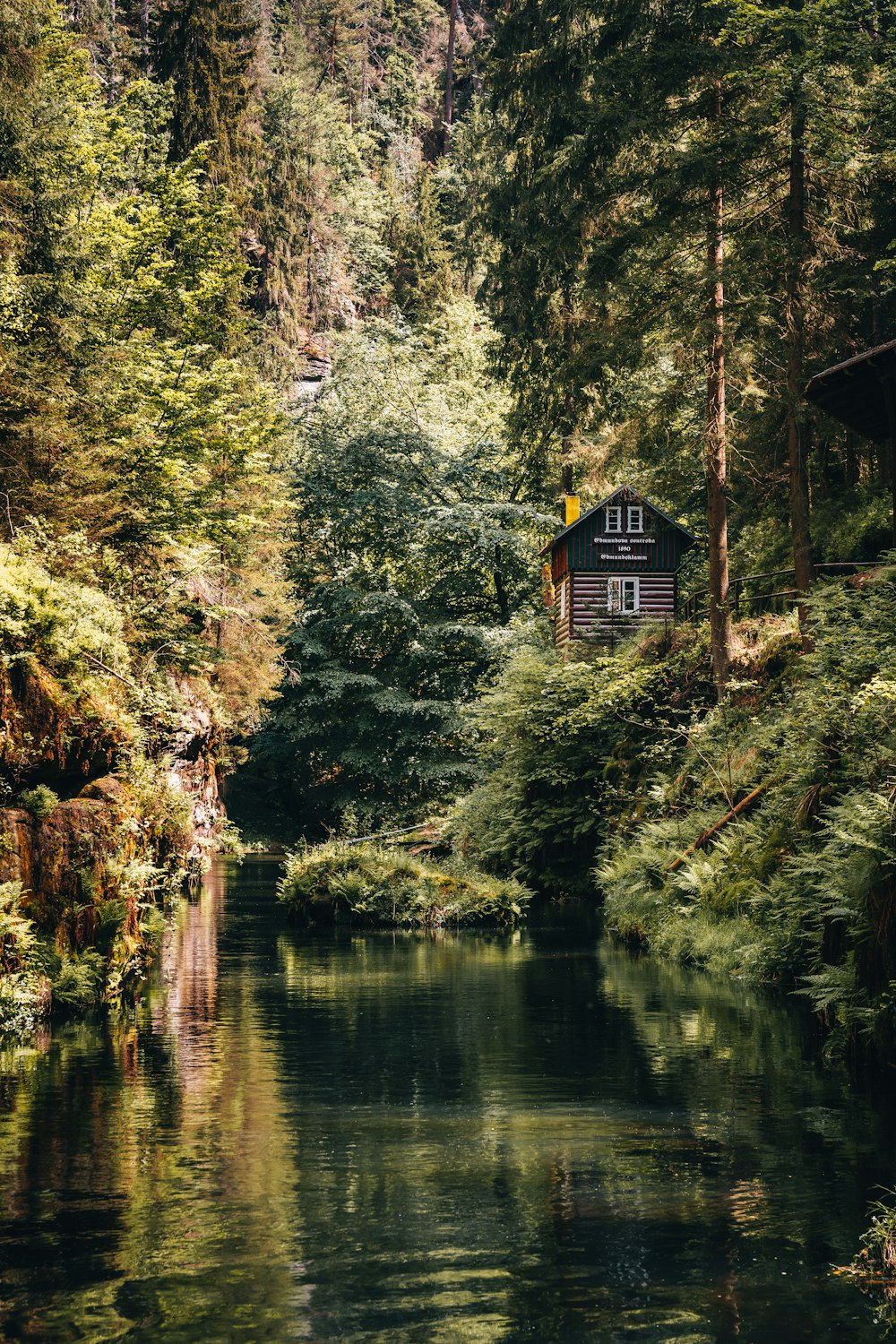 a small cabin in the middle of a forest