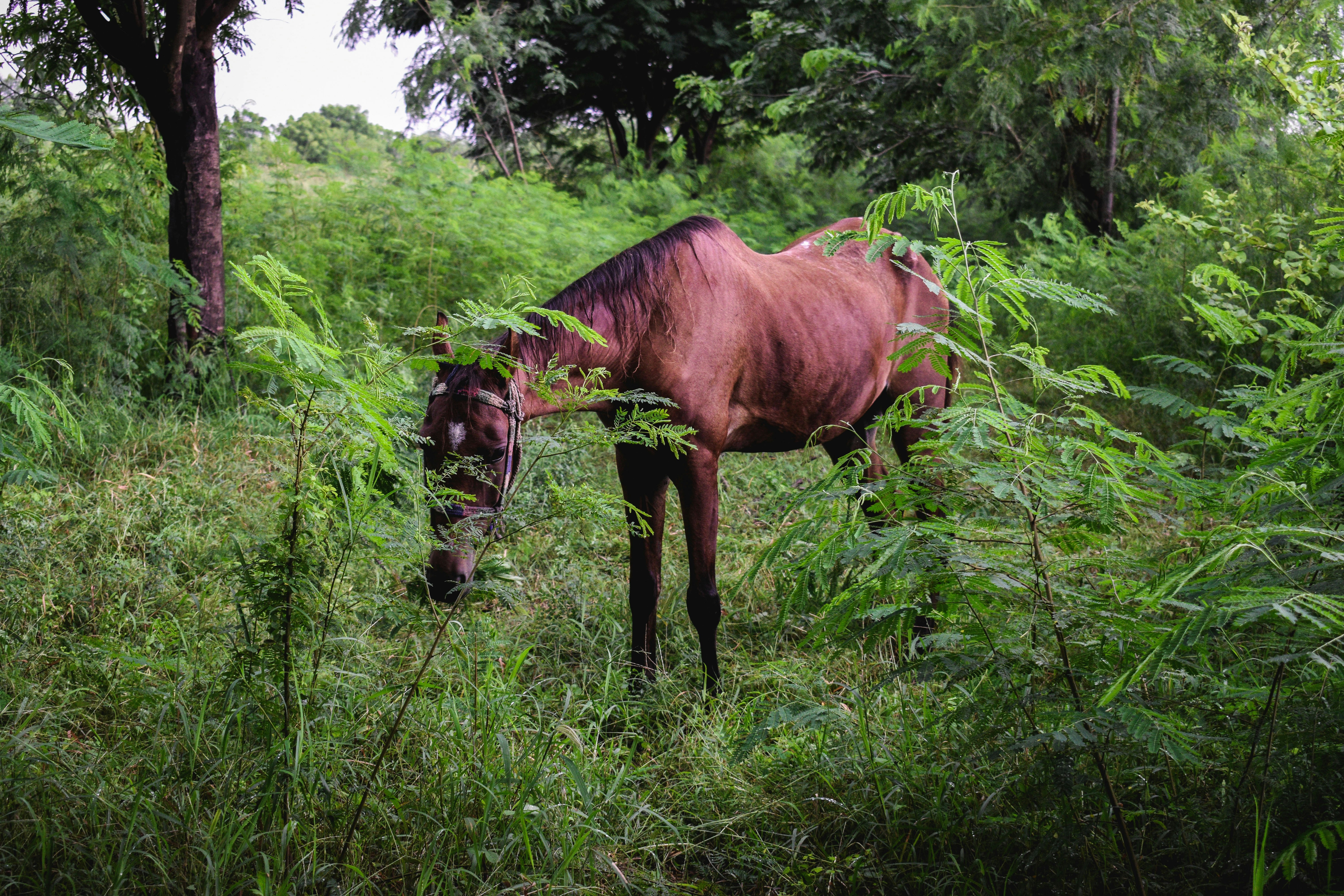 Photo by shubham897