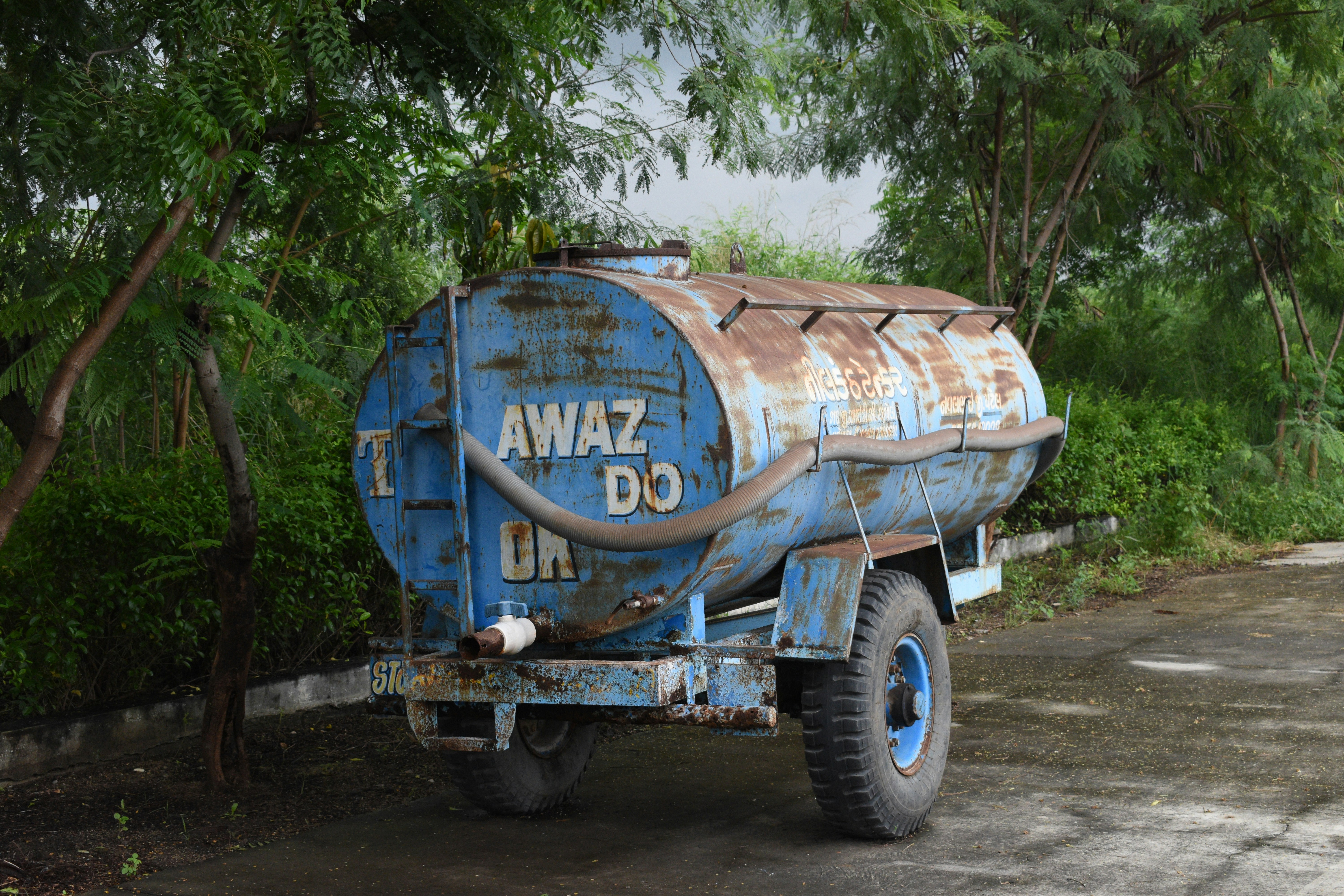 a large blue truck parked next to a lush green forest