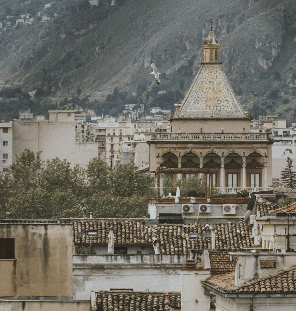 a view of a city with mountains in the background