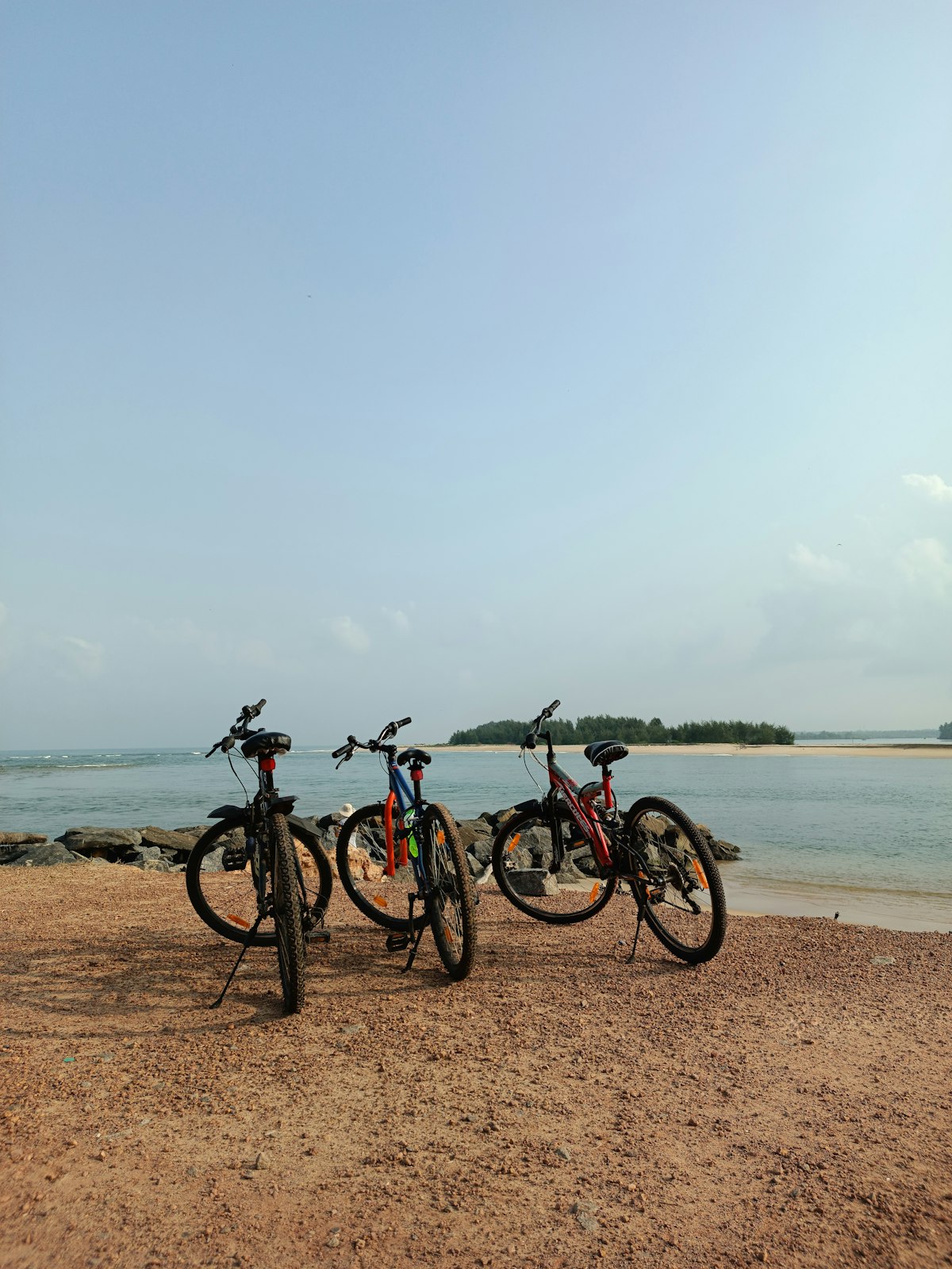 Vélo en forêt landaise et pique-nique