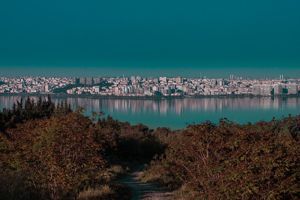 a view of a city and a body of water