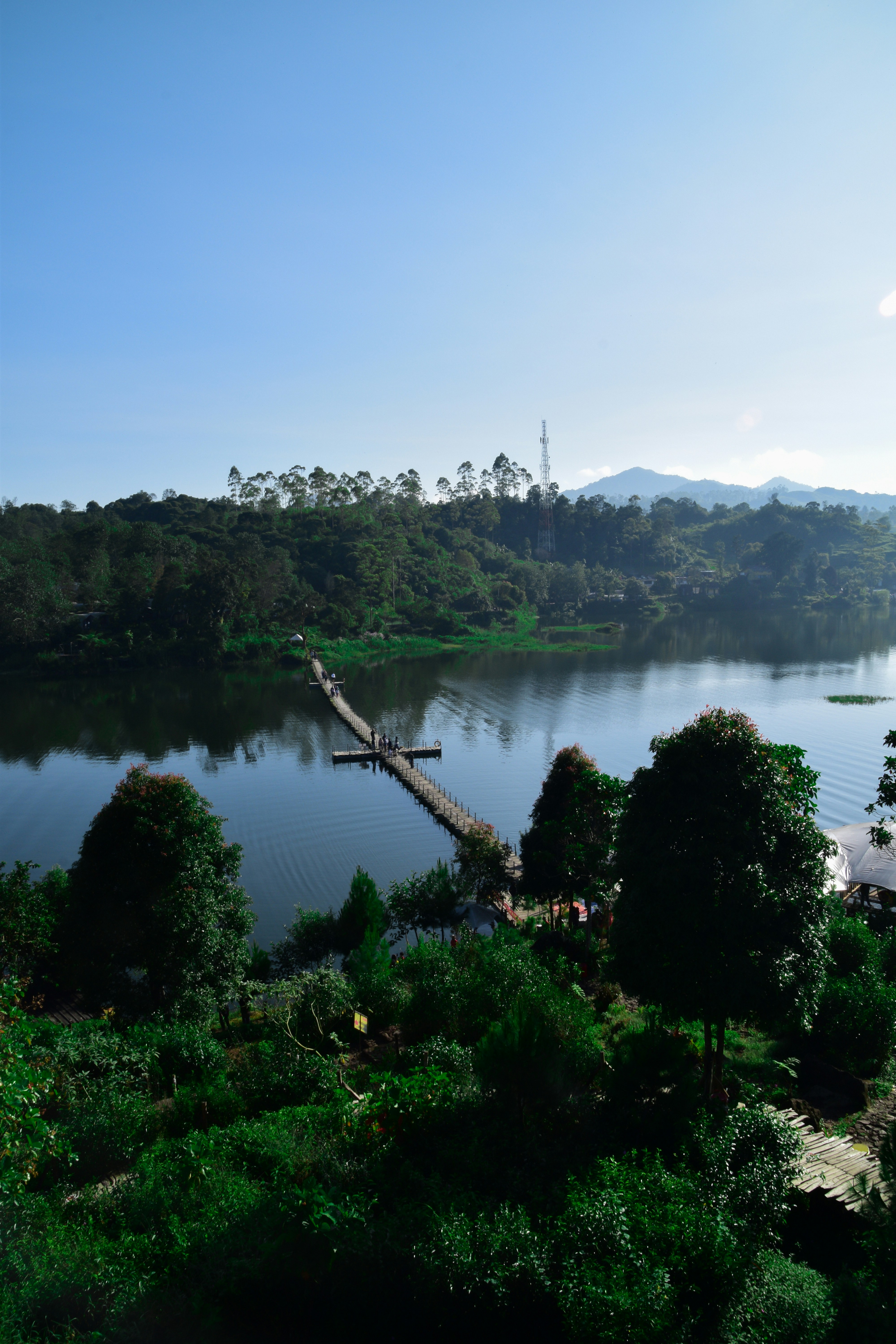 Photo by adityapradpt