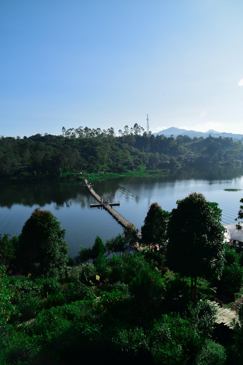 a large body of water surrounded by trees