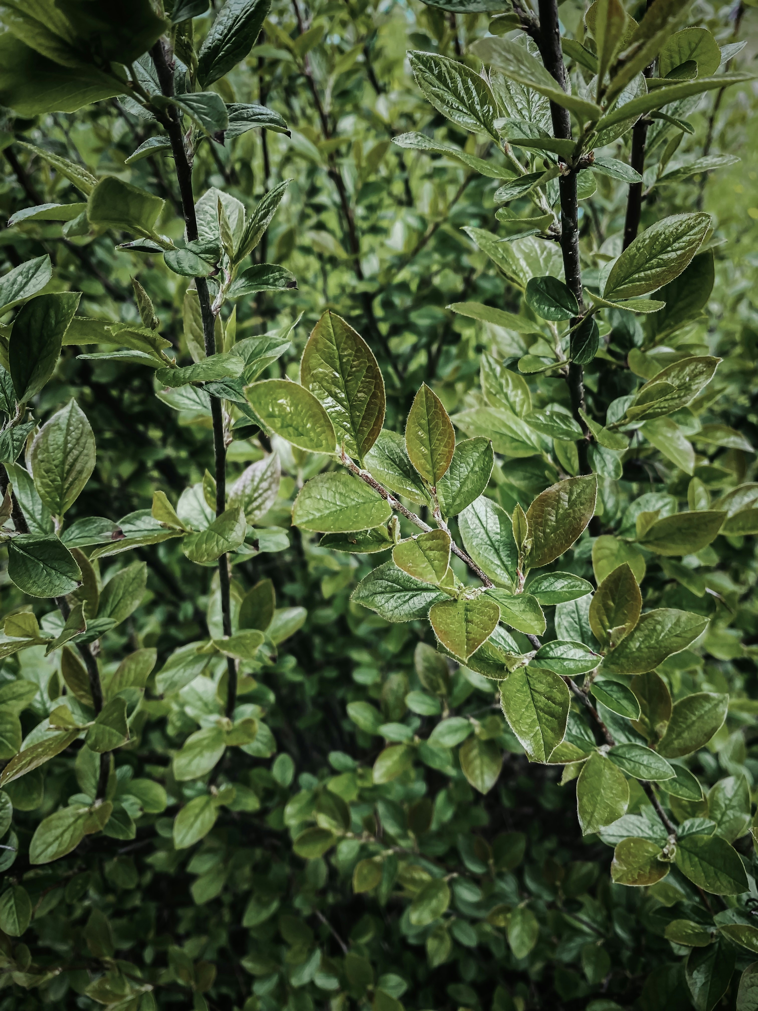 Photo by eugene_golovesov