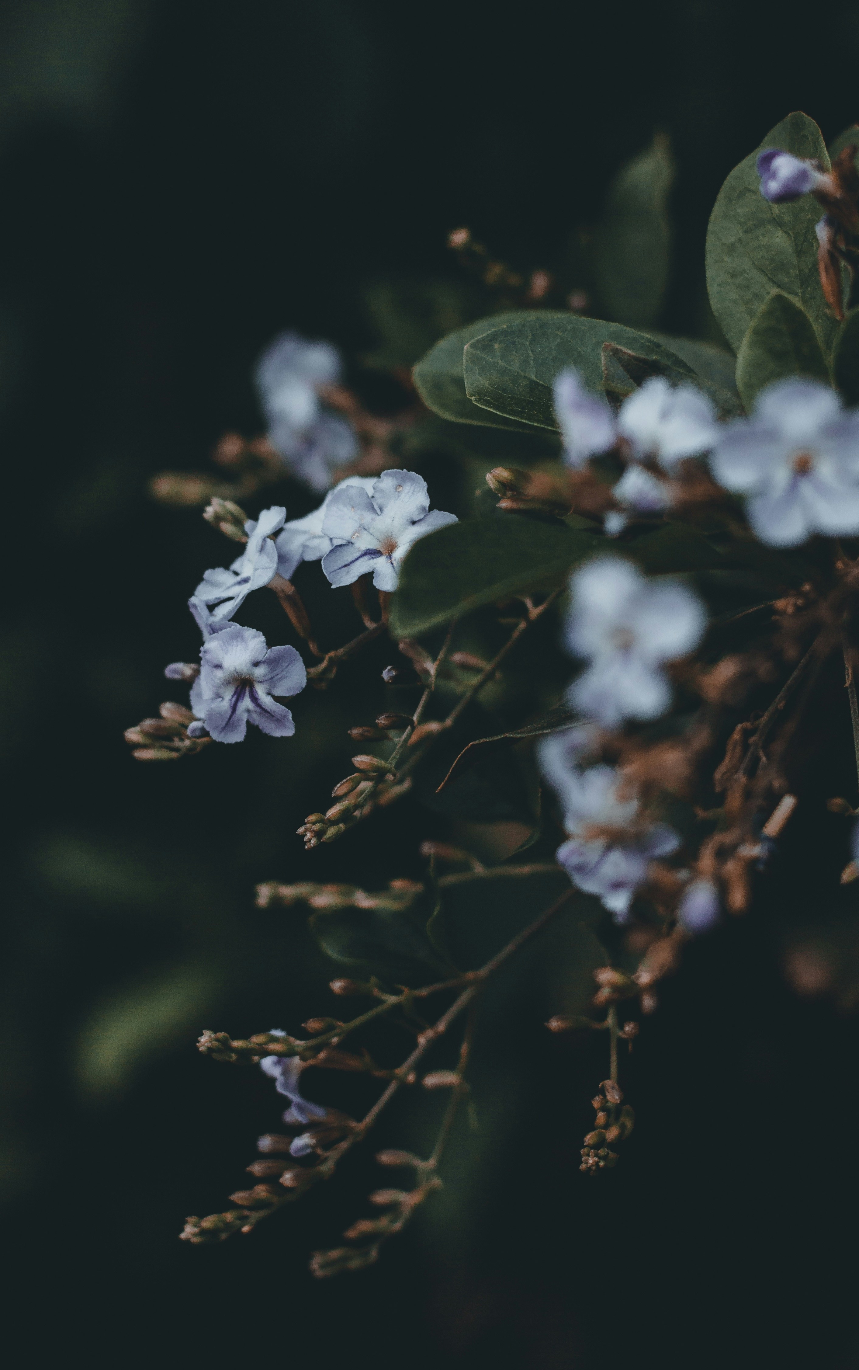 Photo by vikasgurjar