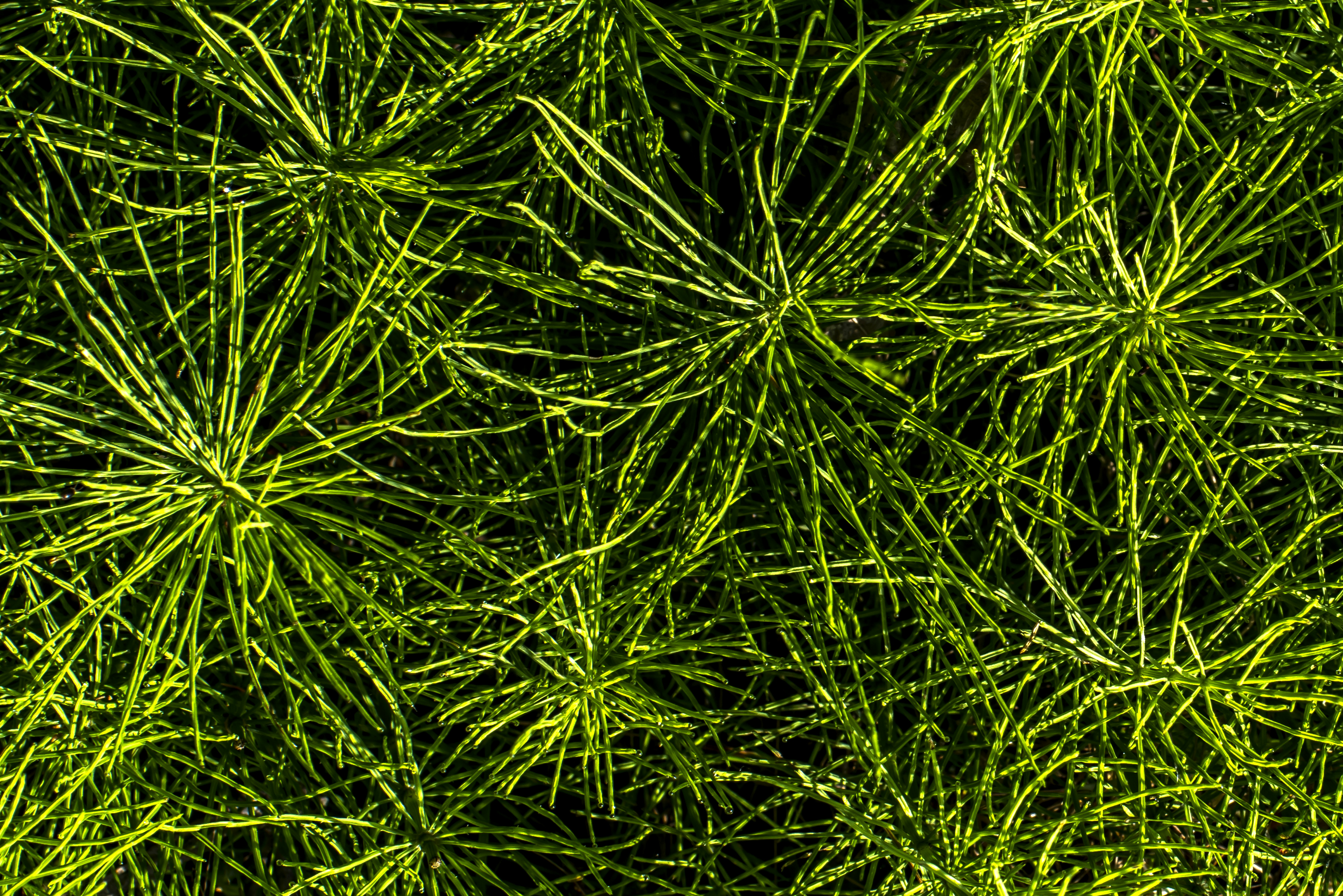 Photo by switch_dtp_fotografie