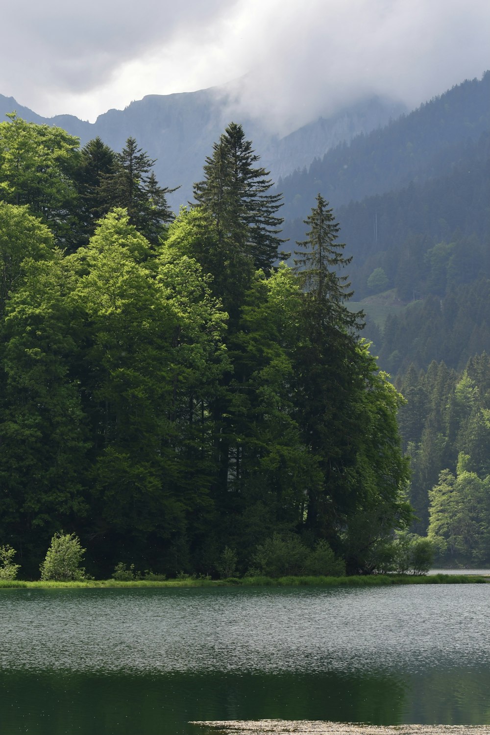 a large body of water surrounded by trees