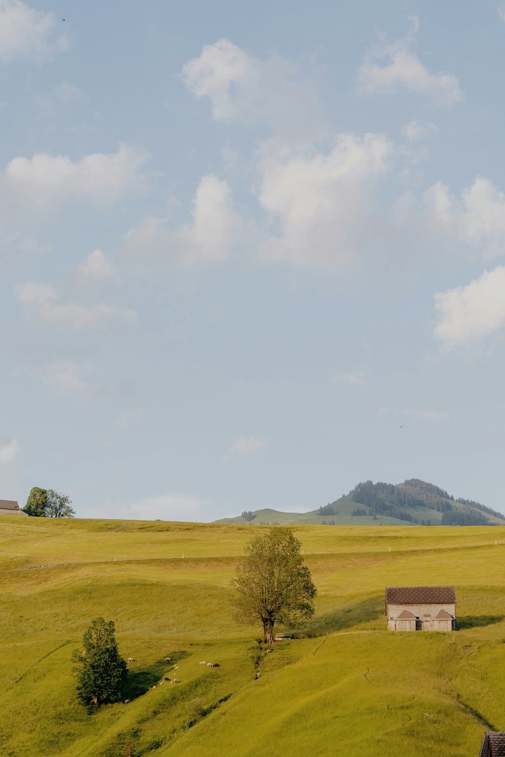 a lone house in the middle of a green field