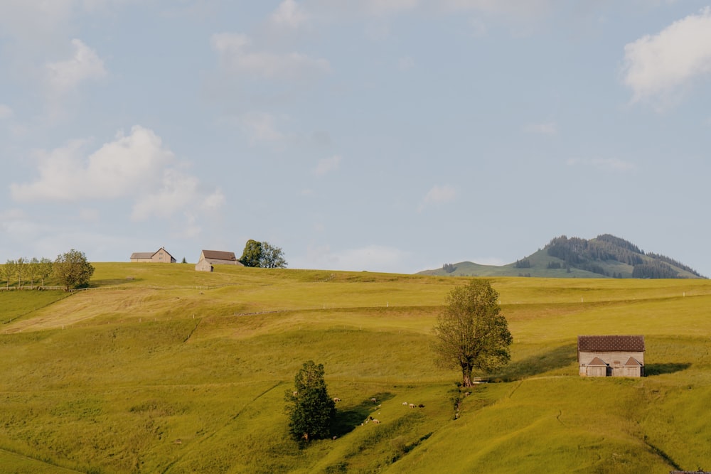 a grassy hill with a house on top of it