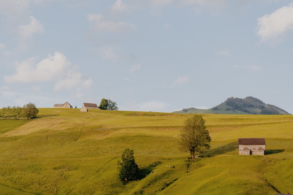 una colina cubierta de hierba con una casa en la cima