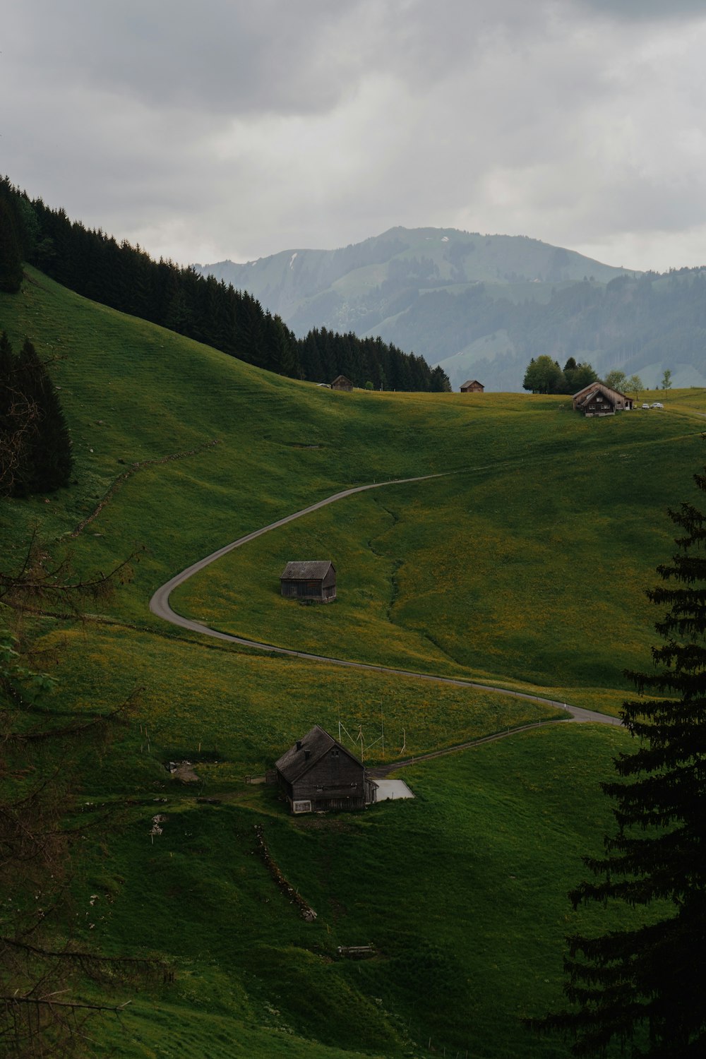 a lush green hillside covered in lush green grass