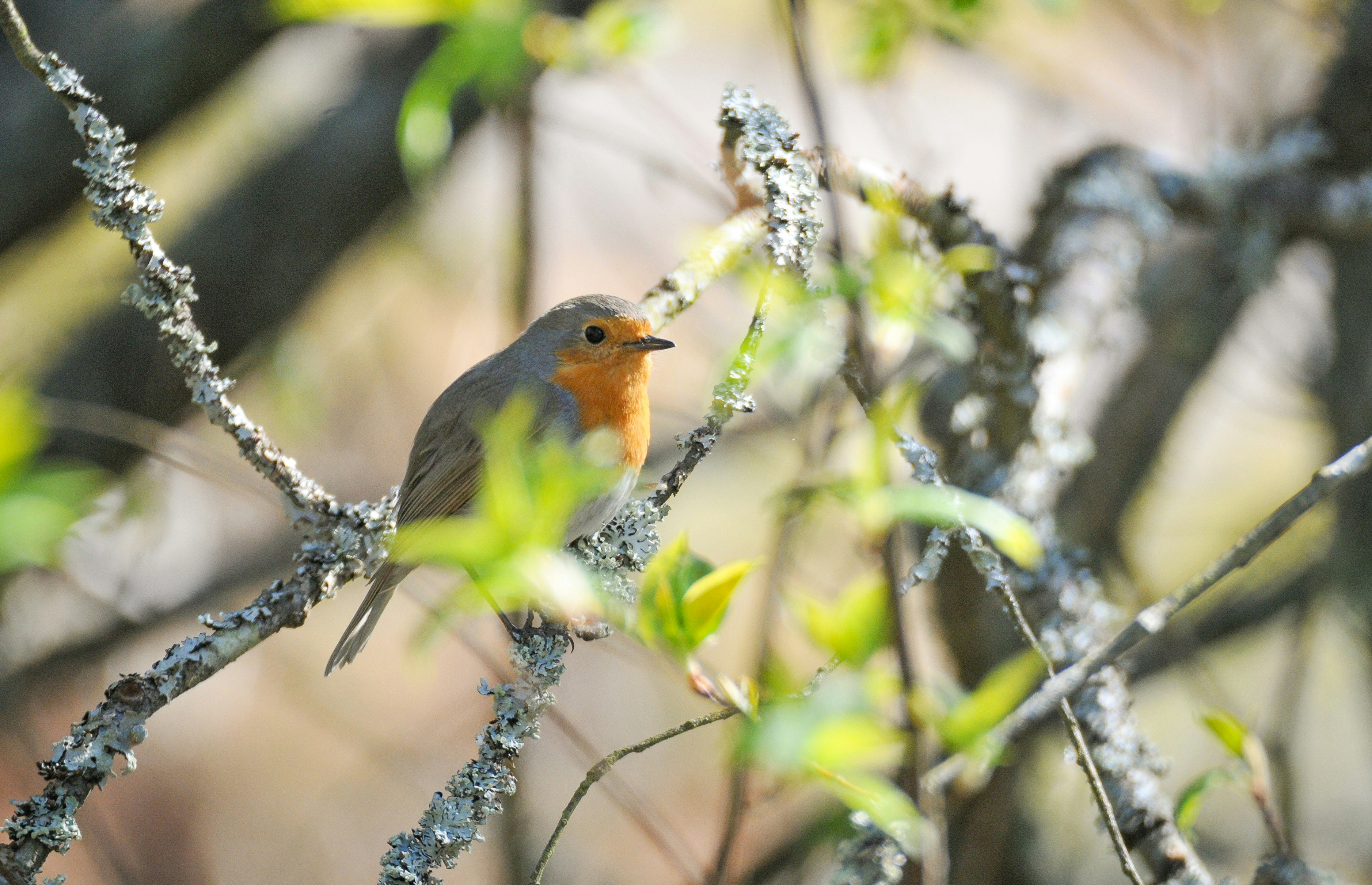 Photo by anna_storsul