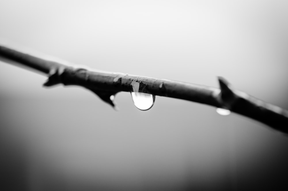 a black and white photo of a water droplet