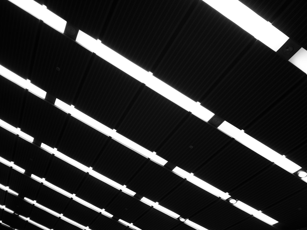 a black and white photo of the ceiling of a train station