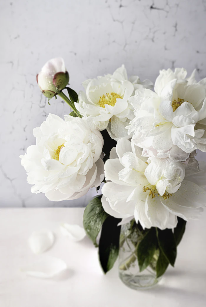 A vase of white flowers on a table