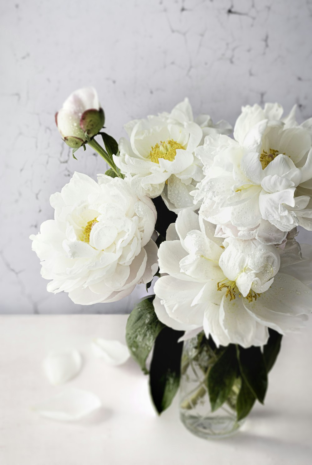 테이블 위에 흰 꽃으로 가득 찬 꽃병