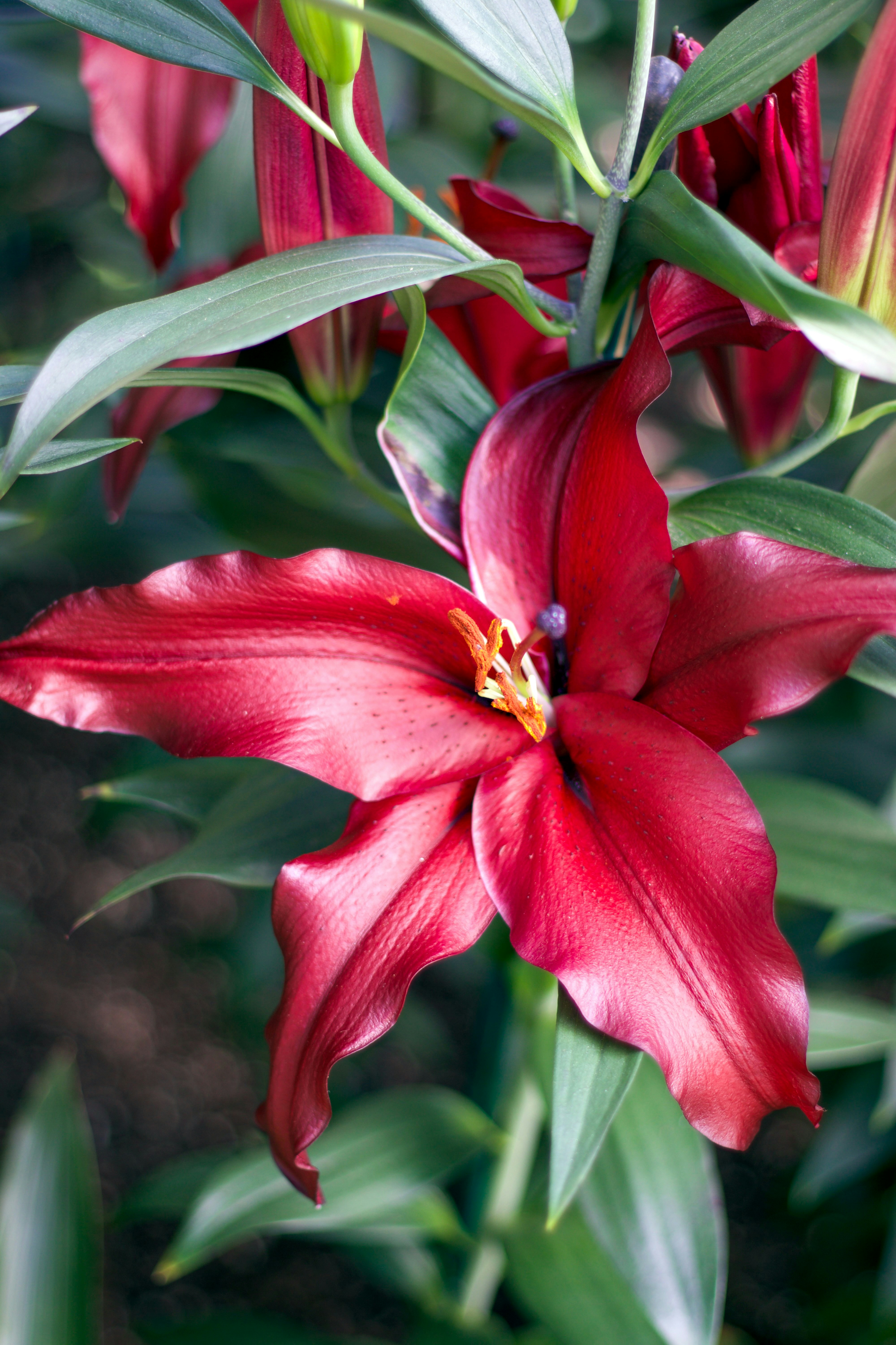 Photo by justacreativecloud