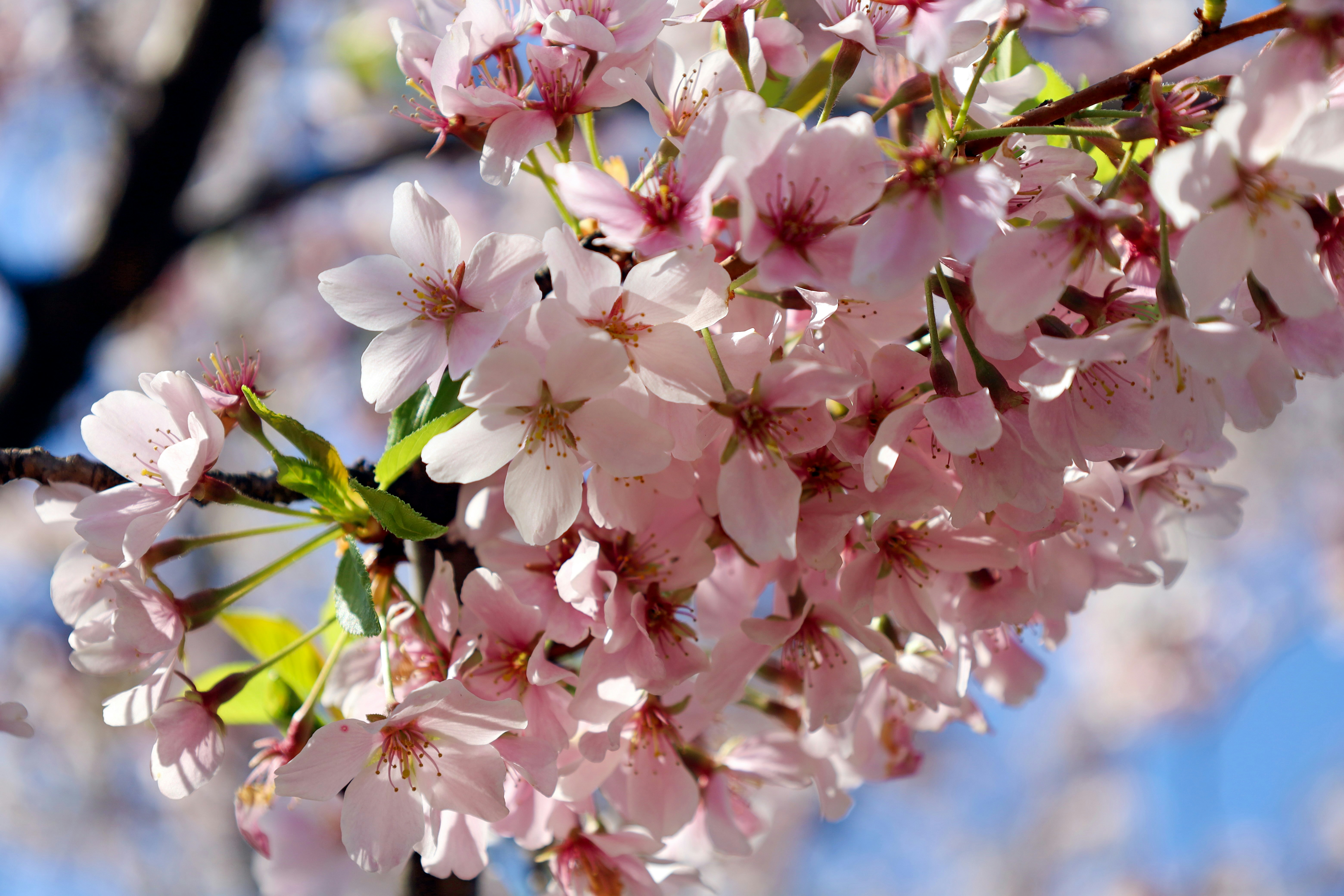 Photo by justacreativecloud