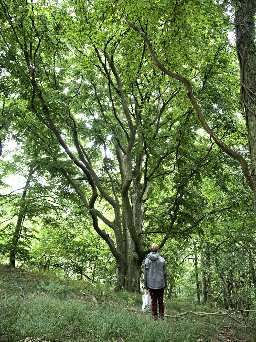 a person walking in the woods with a backpack