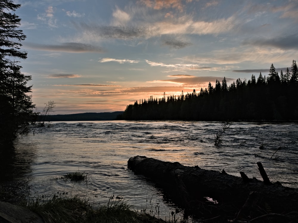 the sun is setting over a lake with a log in the foreground