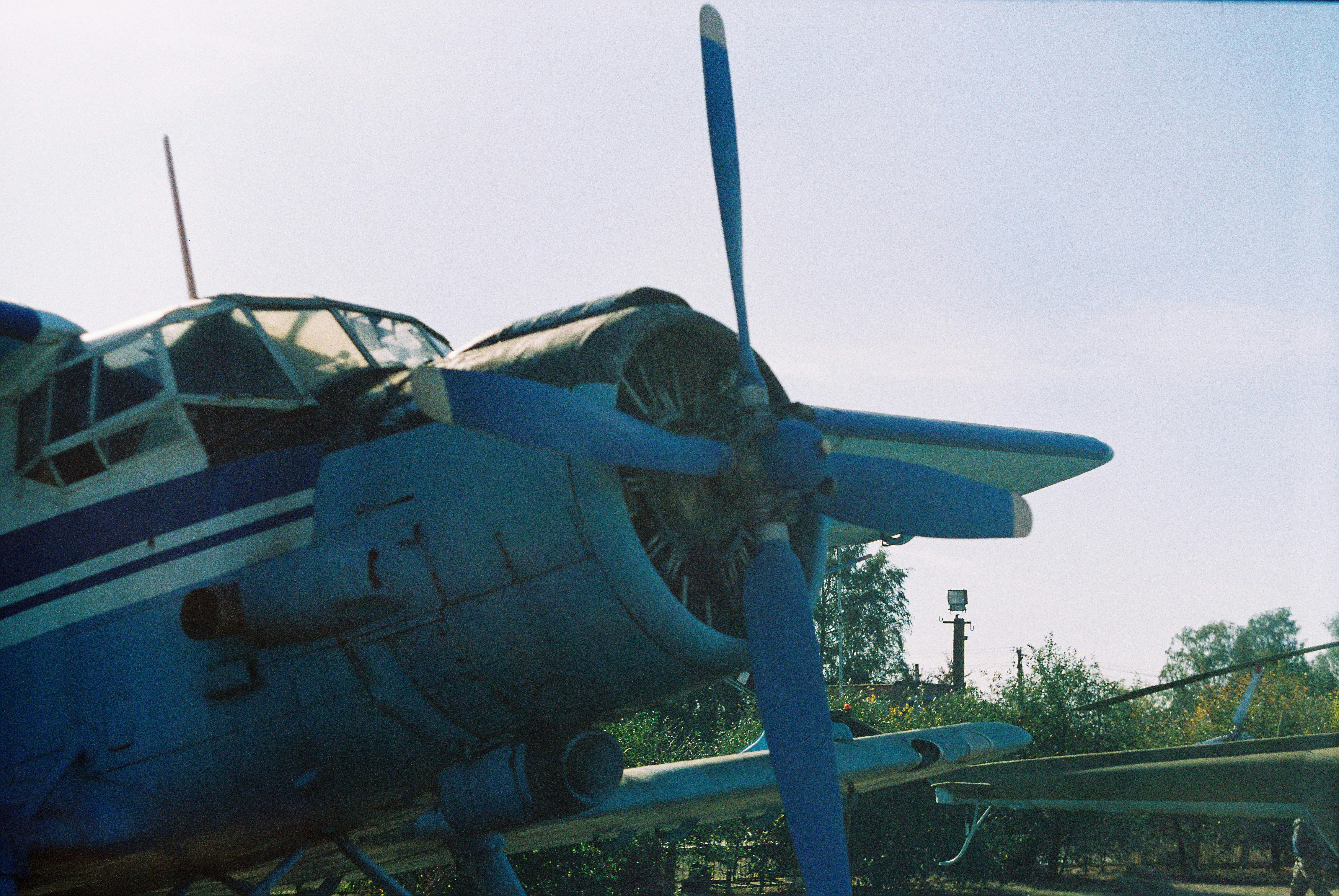 Photo by busterskh