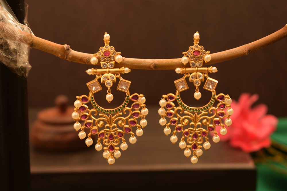 a close up of a pair of earrings on a branch