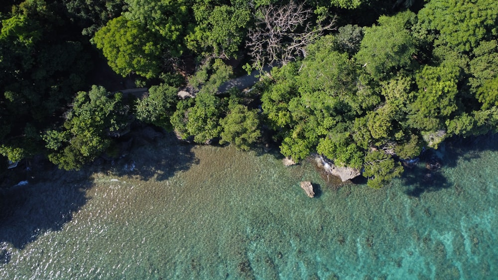 an aerial view of a body of water surrounded by trees