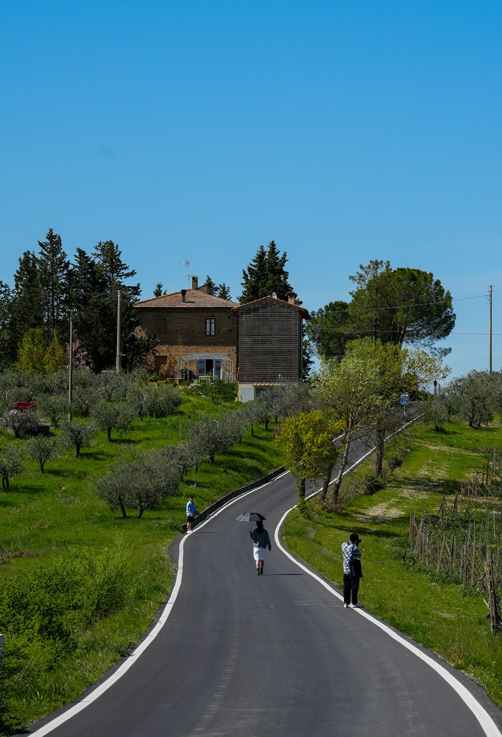 a couple of people riding bikes down a curvy road