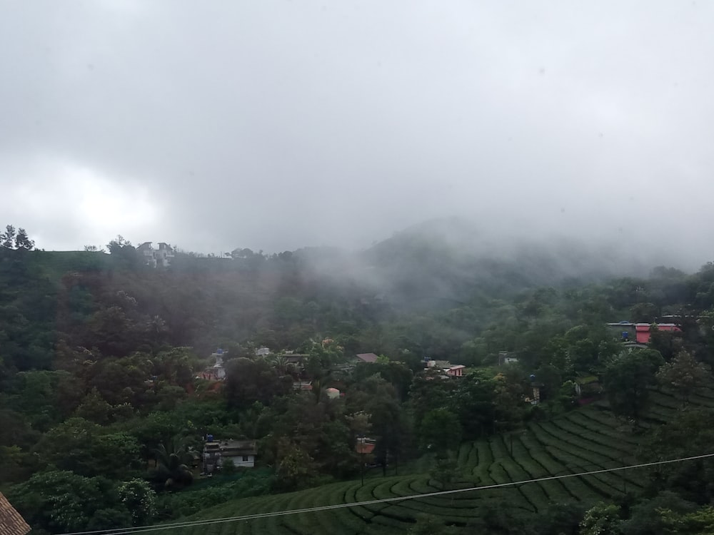 a view of a lush green hillside on a cloudy day
