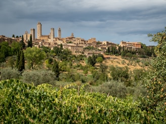 a village on a hill surrounded by trees
