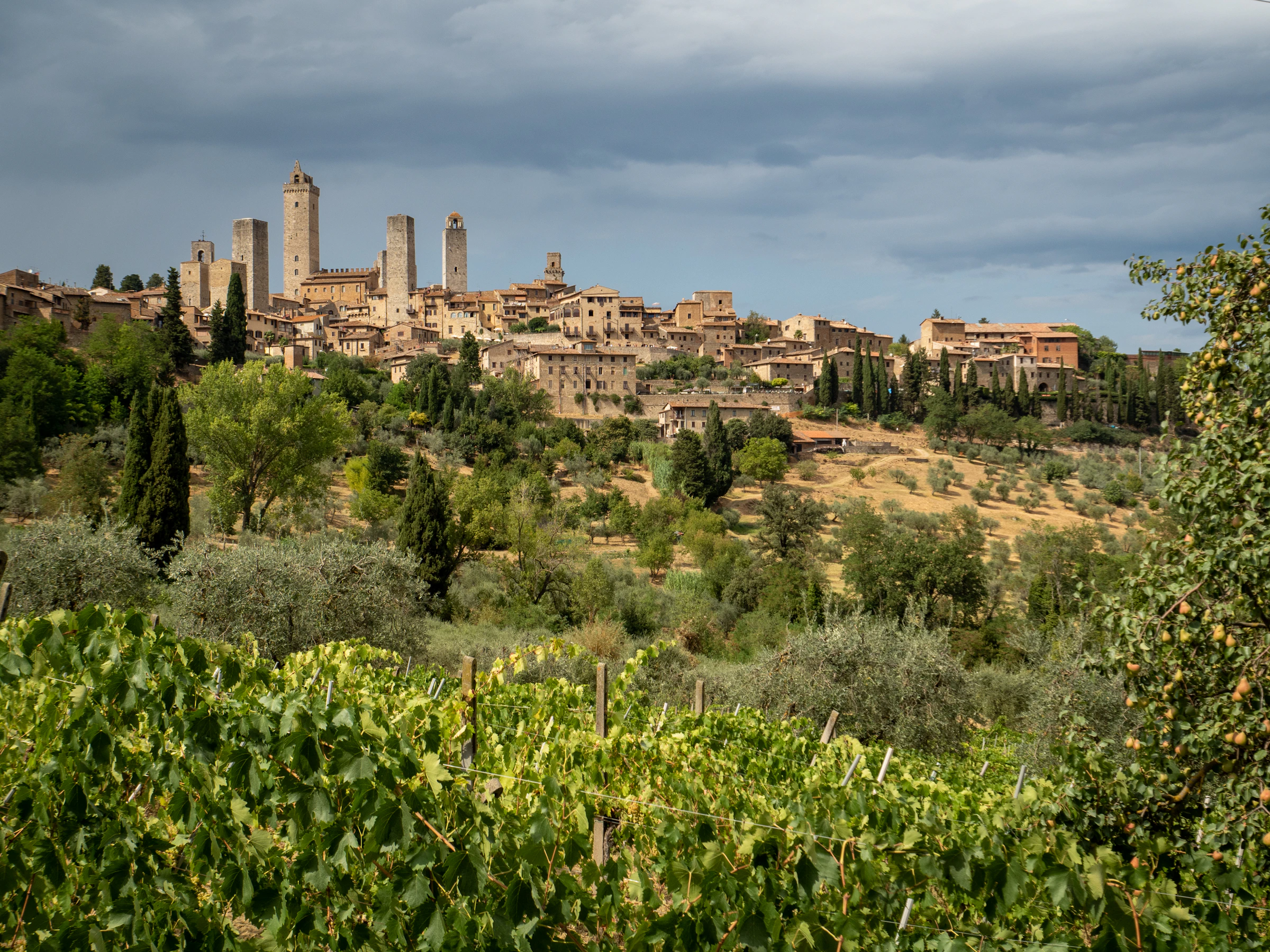 Borgo medievale di San Gimignano su colline e vigneti, Toscana, Italia