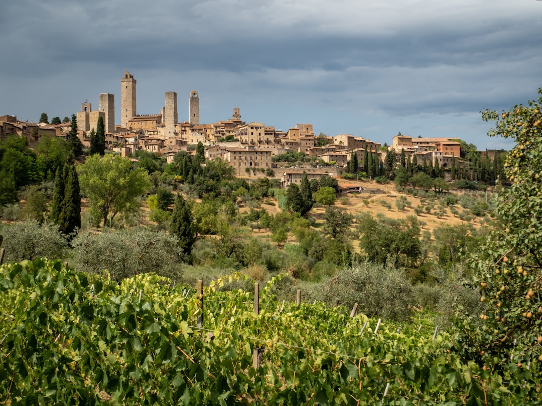 a village on a hill surrounded by trees,