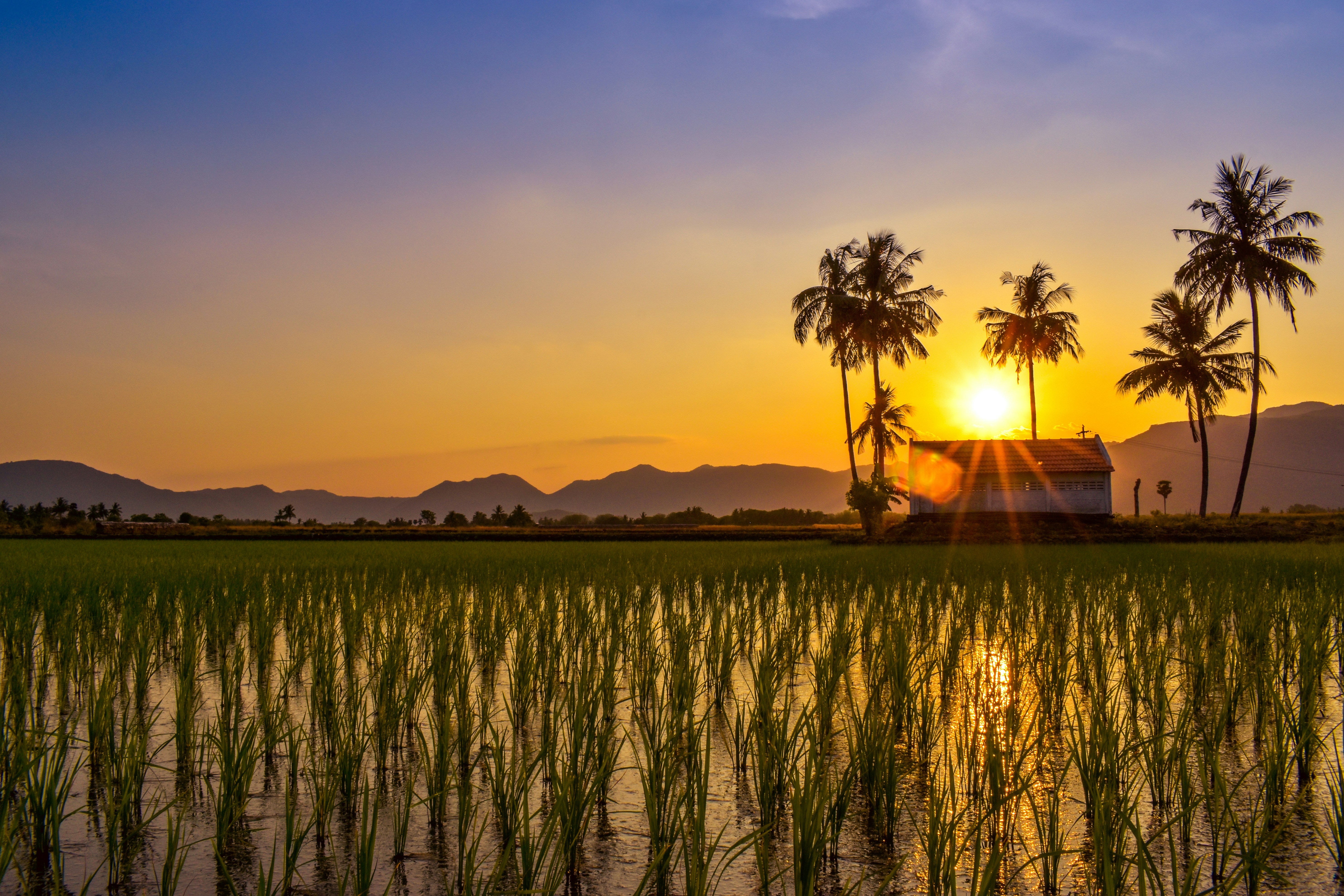 Photo by navi_photography