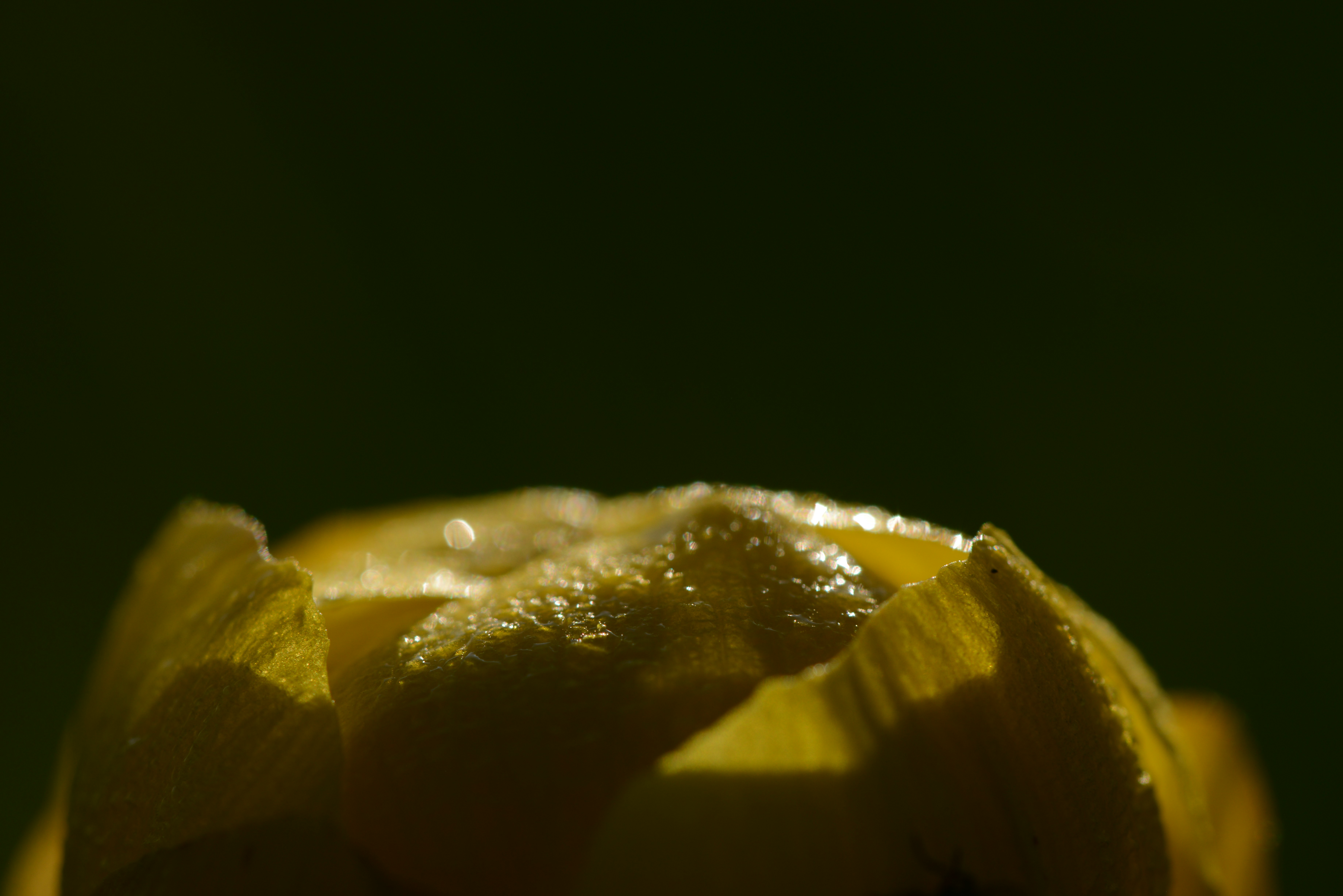 Unwind & Relax Ritual Set