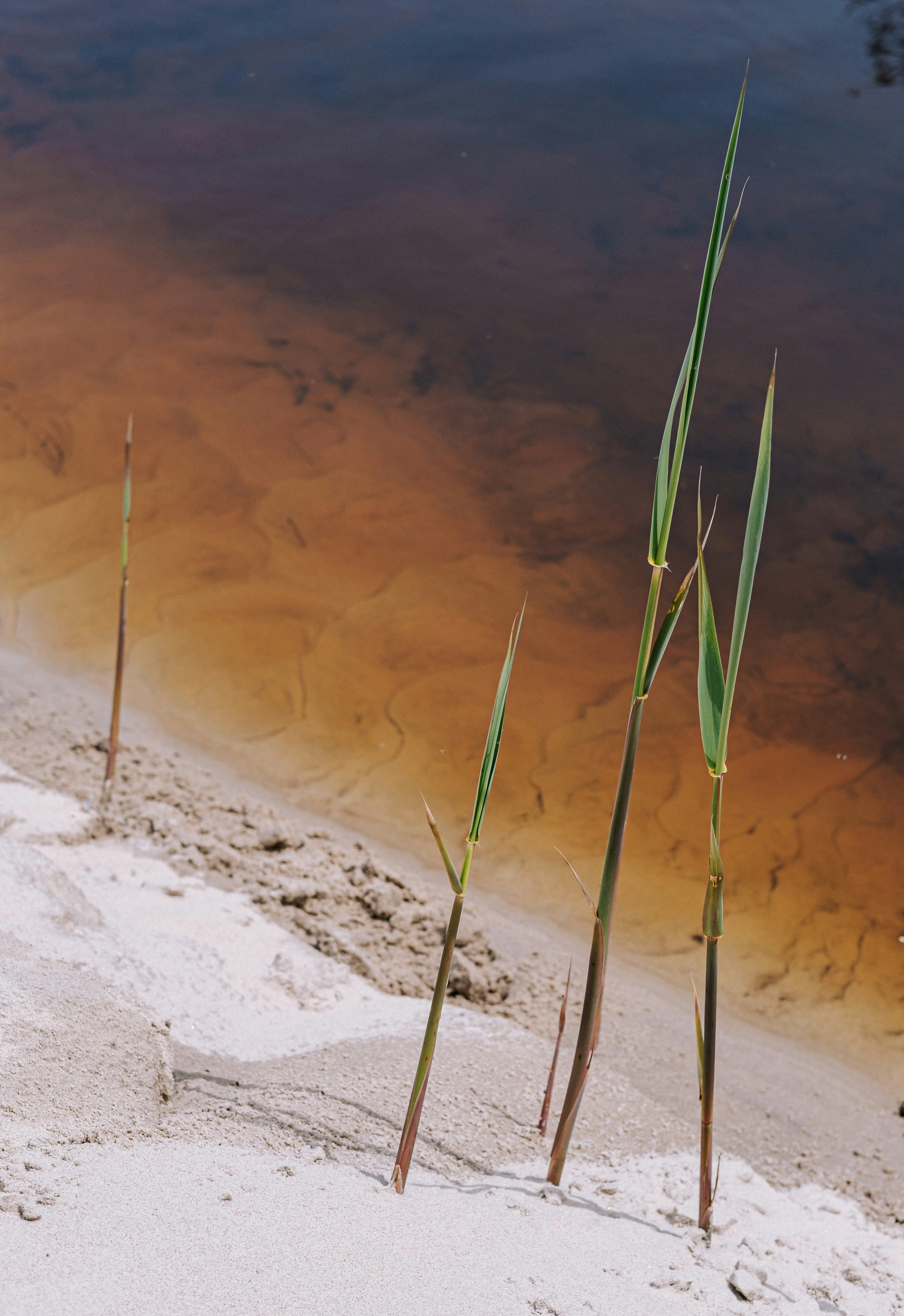 Photo by grundsteins