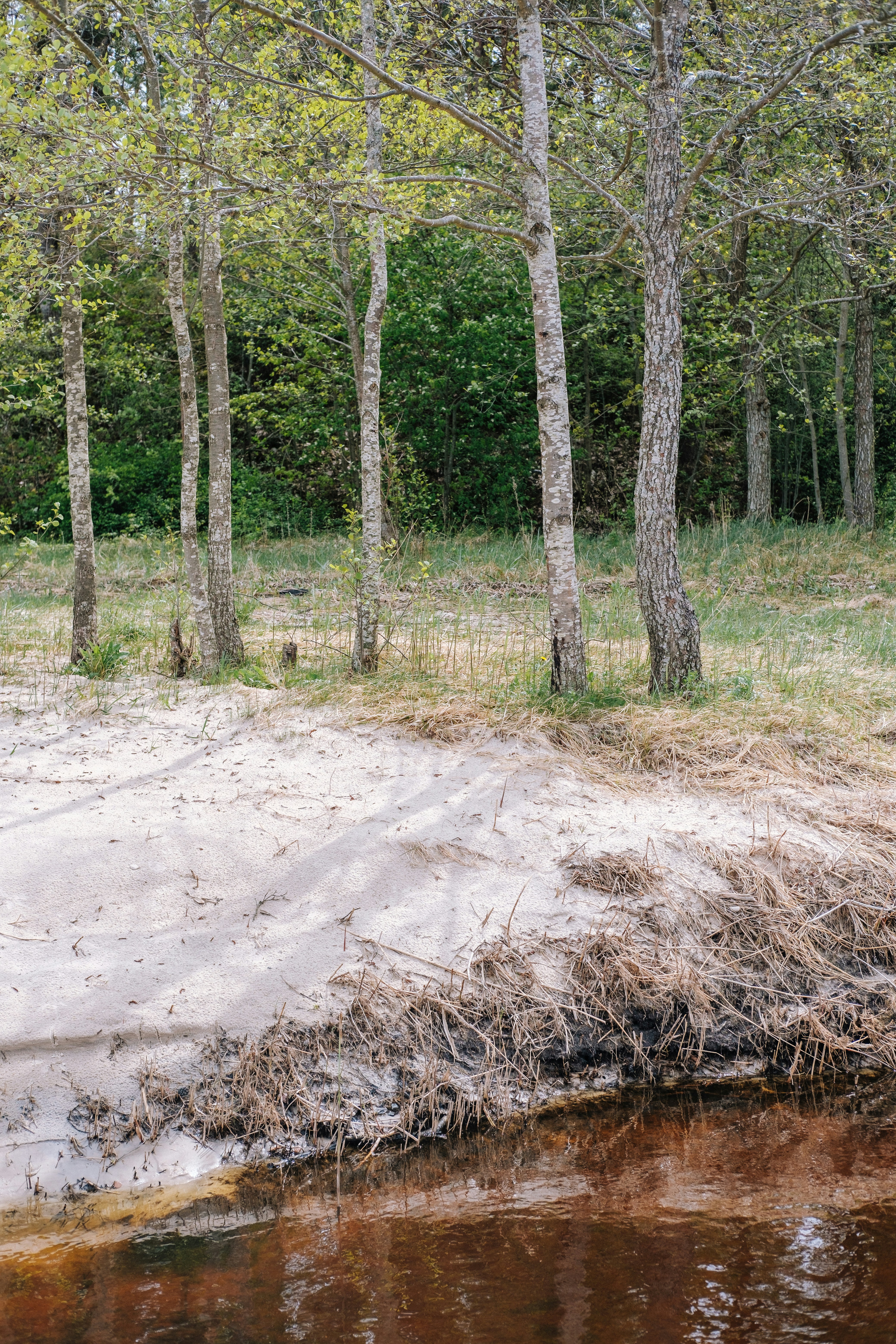 Photo by grundsteins