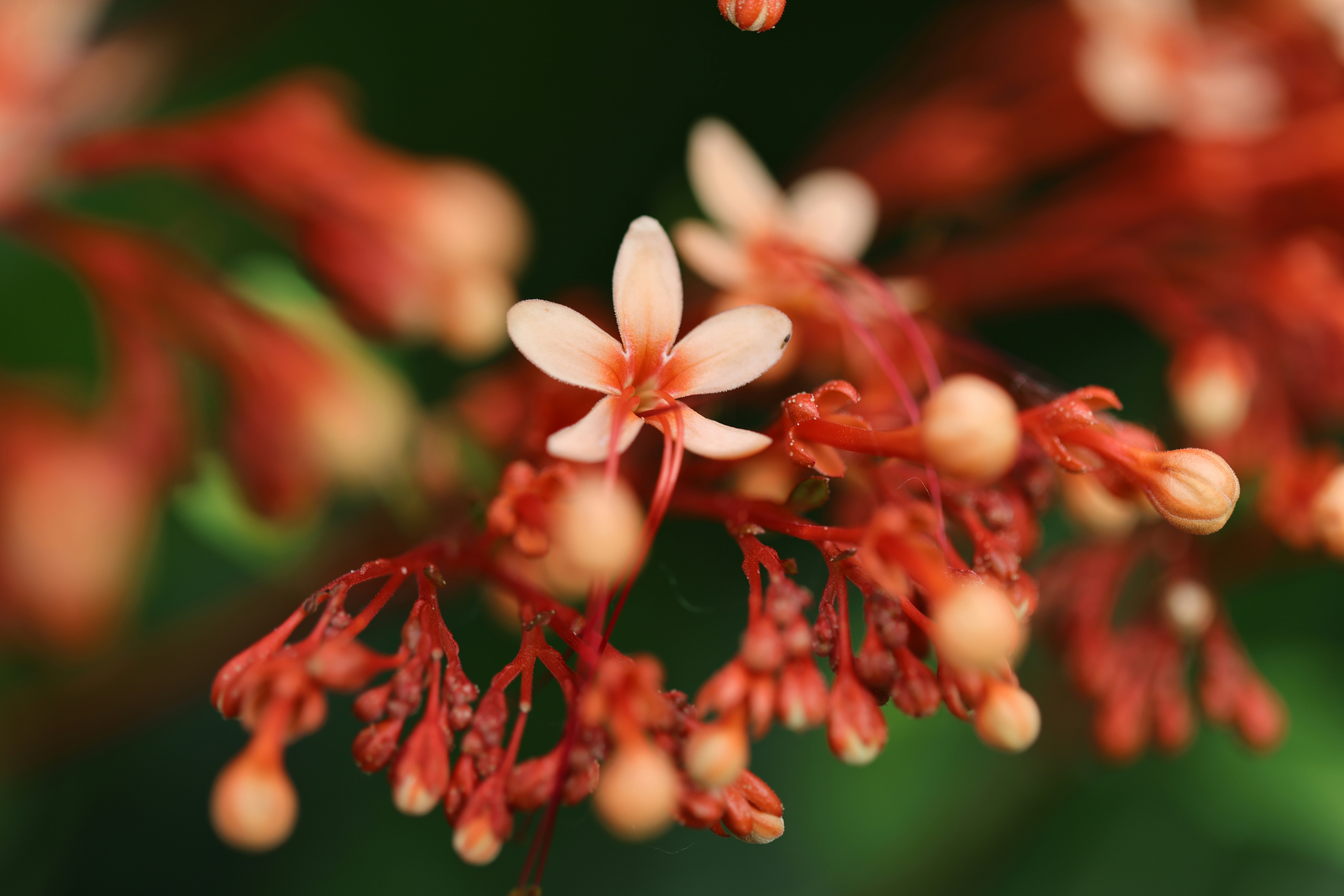 Photo by dickenslin76