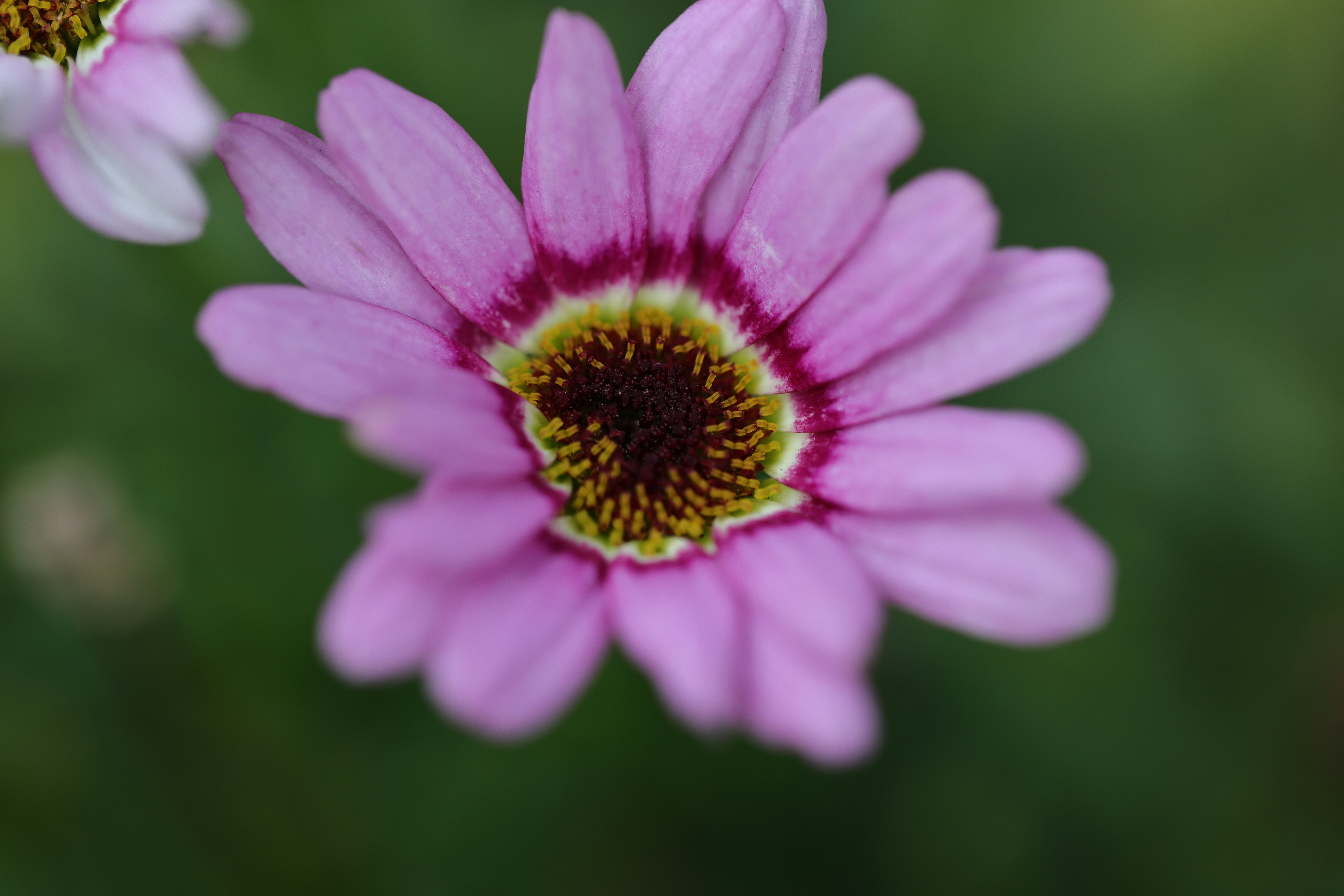 Photo by dickenslin76