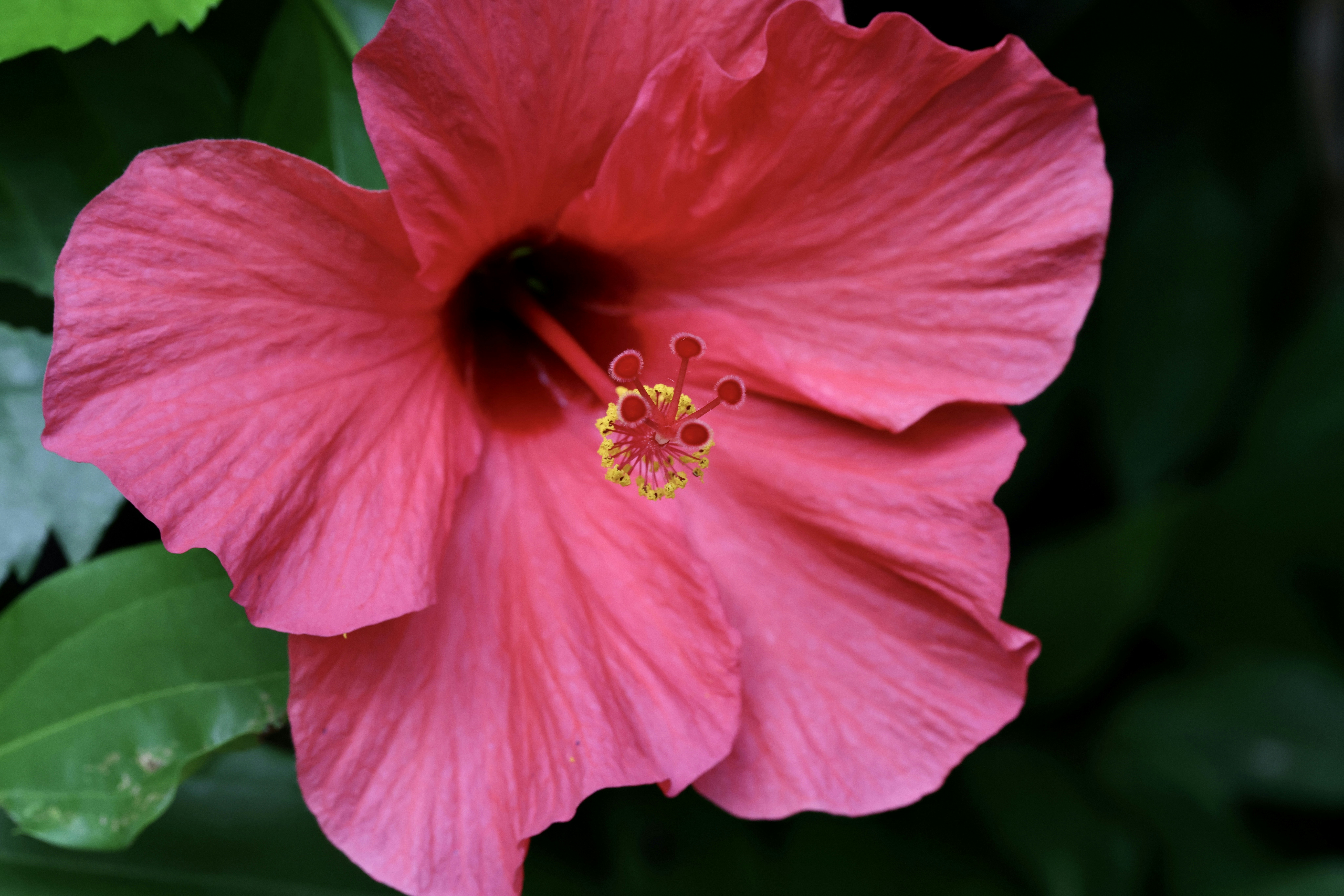 Photo by dickenslin76