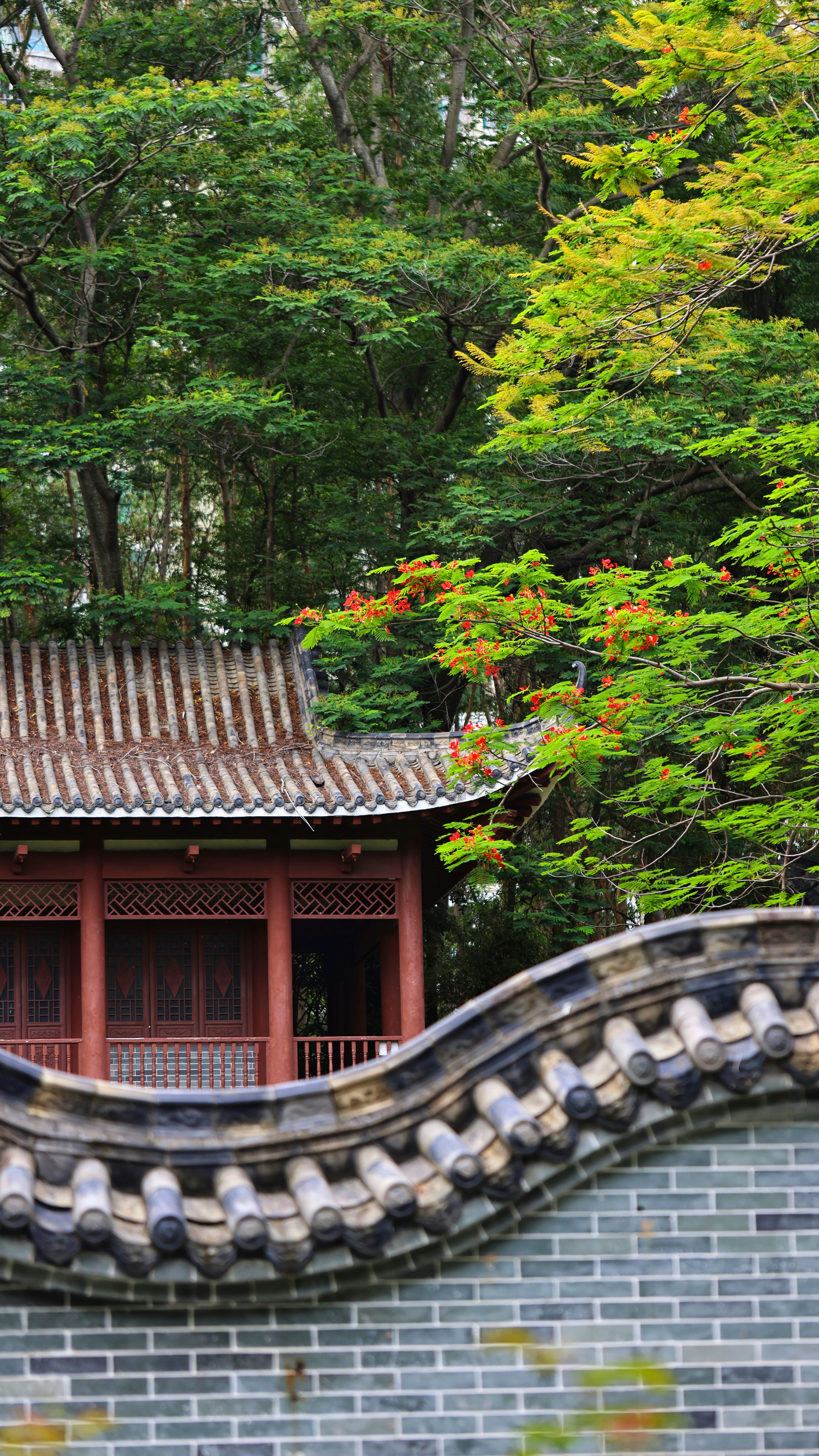 Photo by dickenslin76